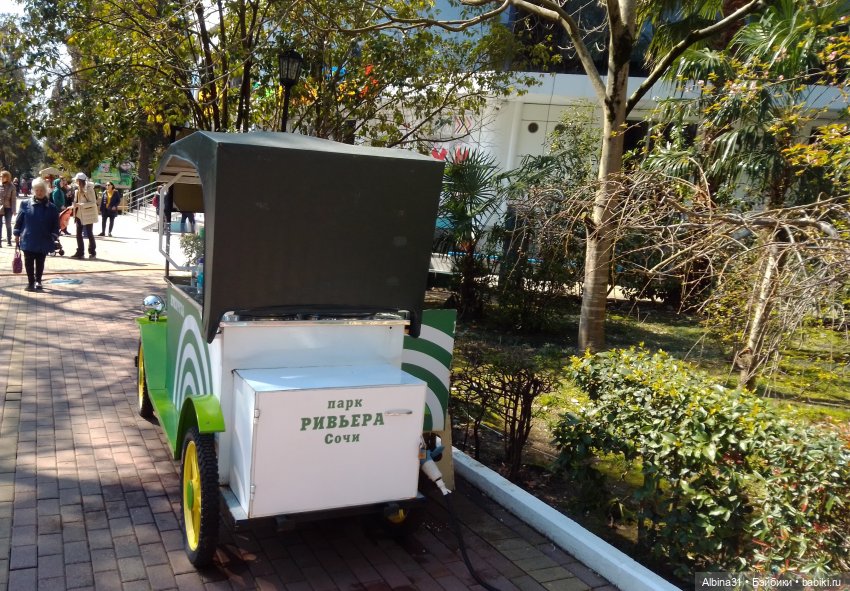 Просто Сочи. Окончание — Туризм и путешествия: фотоотчеты из поездок