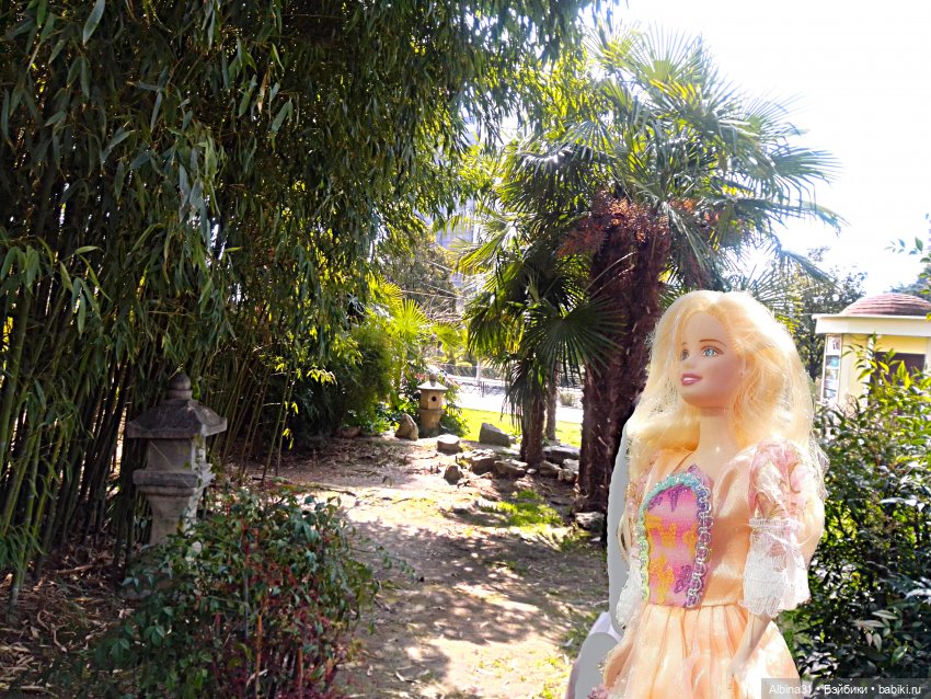 Просто Сочи. Окончание — Туризм и путешествия: фотоотчеты из поездок