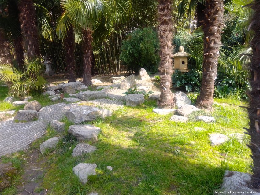 Просто Сочи. Окончание — Туризм и путешествия: фотоотчеты из поездок