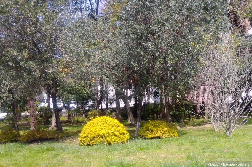 Просто Сочи. Окончание — Туризм и путешествия: фотоотчеты из поездок