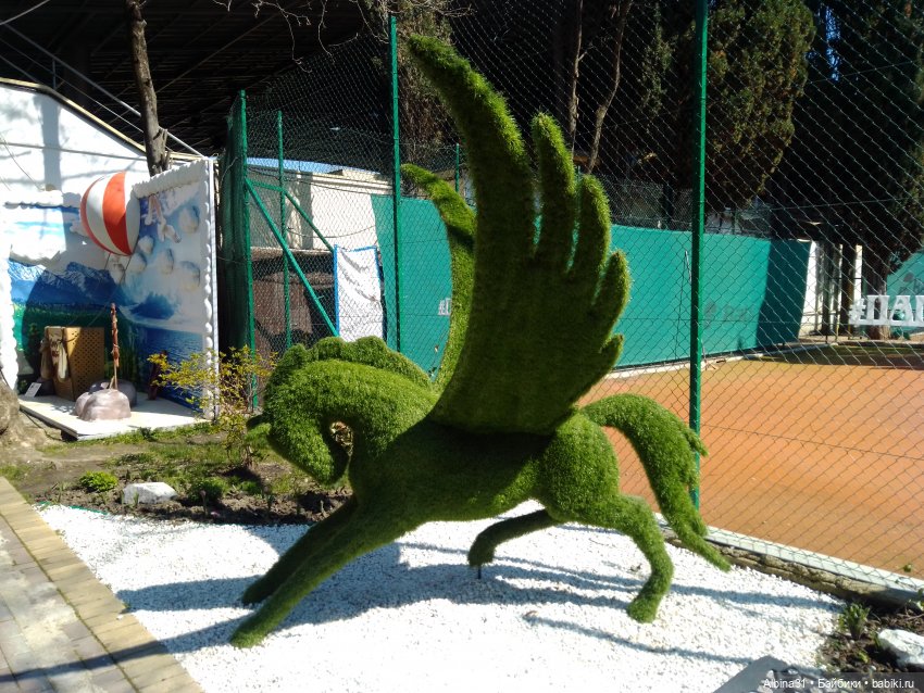 Просто Сочи. Окончание — Туризм и путешествия: фотоотчеты из поездок