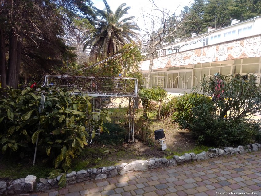 Просто Сочи. Окончание — Туризм и путешествия: фотоотчеты из поездок