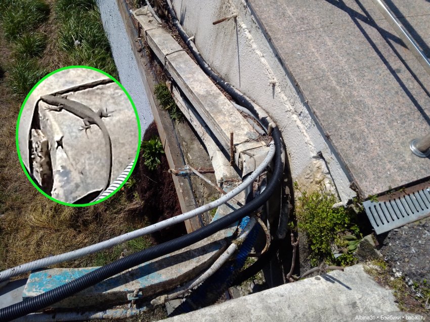 Просто Сочи. Окончание — Туризм и путешествия: фотоотчеты из поездок