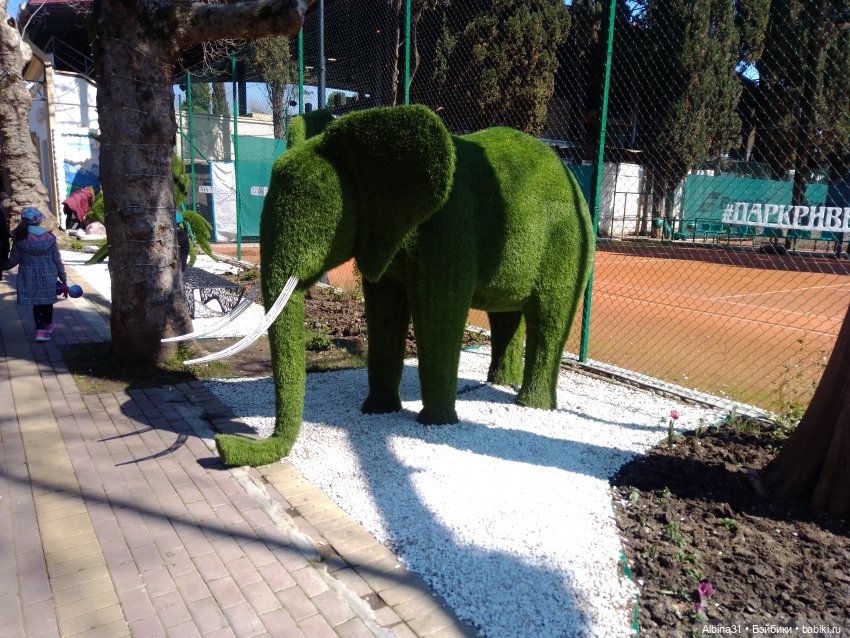 Просто Сочи. Окончание — Туризм и путешествия: фотоотчеты из поездок