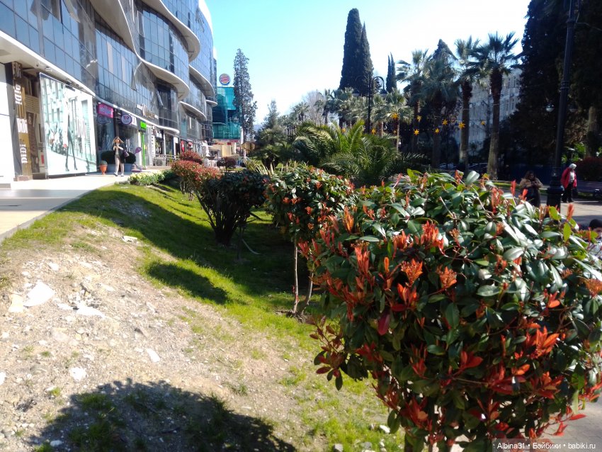 Просто Сочи. Окончание — Туризм и путешествия: фотоотчеты из поездок