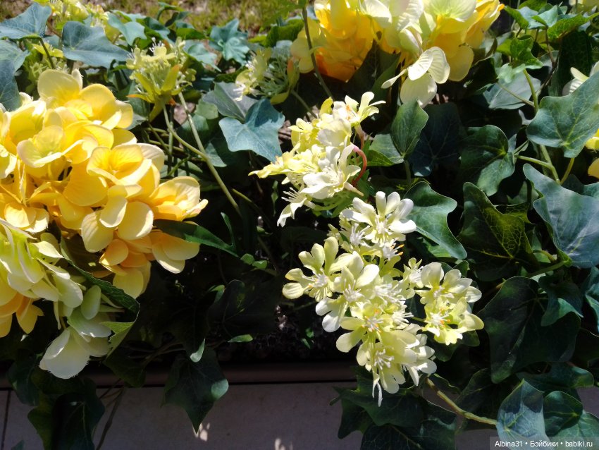 Просто Сочи. Окончание — Туризм и путешествия: фотоотчеты из поездок