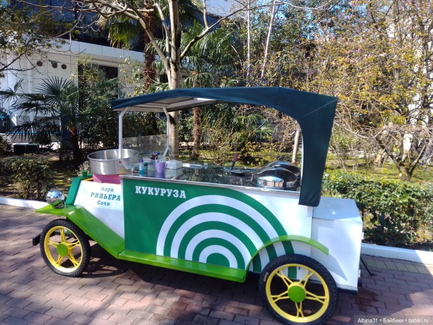 Просто Сочи. Окончание — Туризм и путешествия: фотоотчеты из поездок