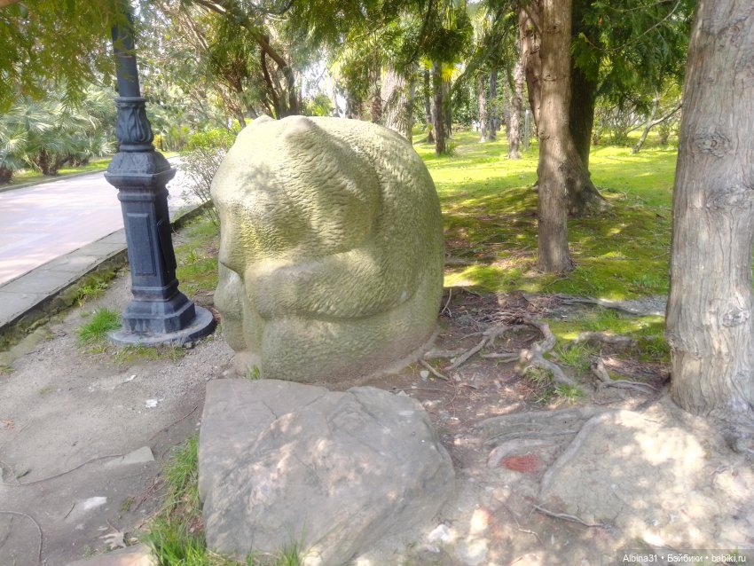 Просто Сочи. Окончание — Туризм и путешествия: фотоотчеты из поездок