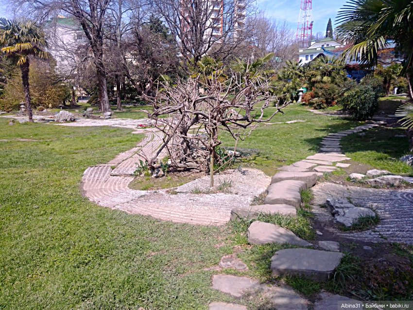 Просто Сочи. Окончание — Туризм и путешествия: фотоотчеты из поездок