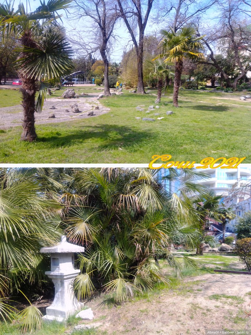 Просто Сочи. Окончание — Туризм и путешествия: фотоотчеты из поездок