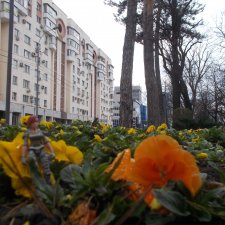 Прогулка по Краснодару. Апрель 2021 год