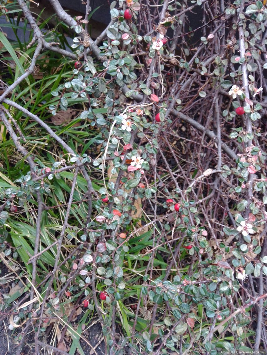 Просто Сочи. Окончание — Туризм и путешествия: фотоотчеты из поездок
