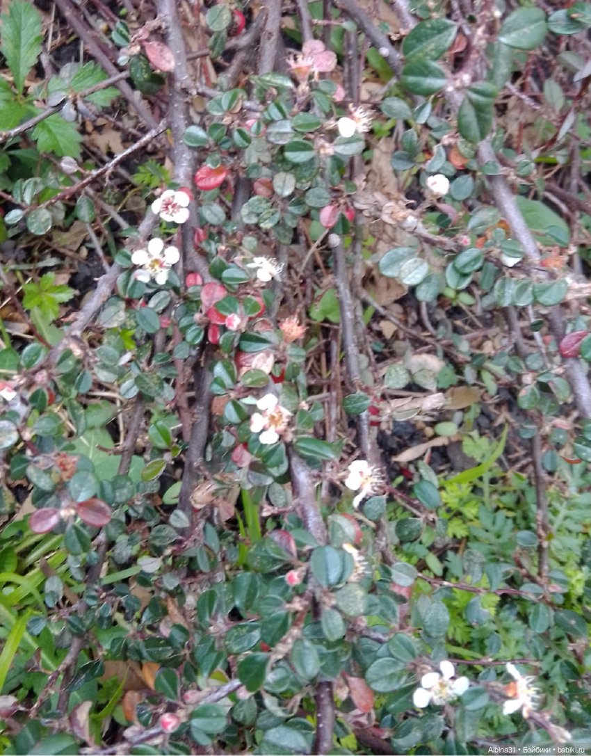 Просто Сочи. Окончание — Туризм и путешествия: фотоотчеты из поездок