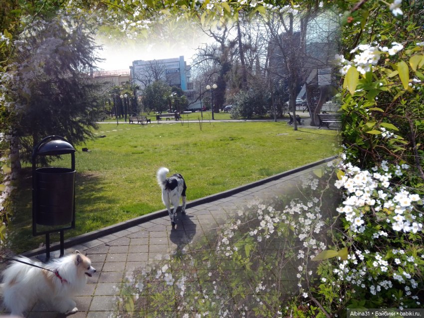 Просто Сочи. Окончание — Туризм и путешествия: фотоотчеты из поездок