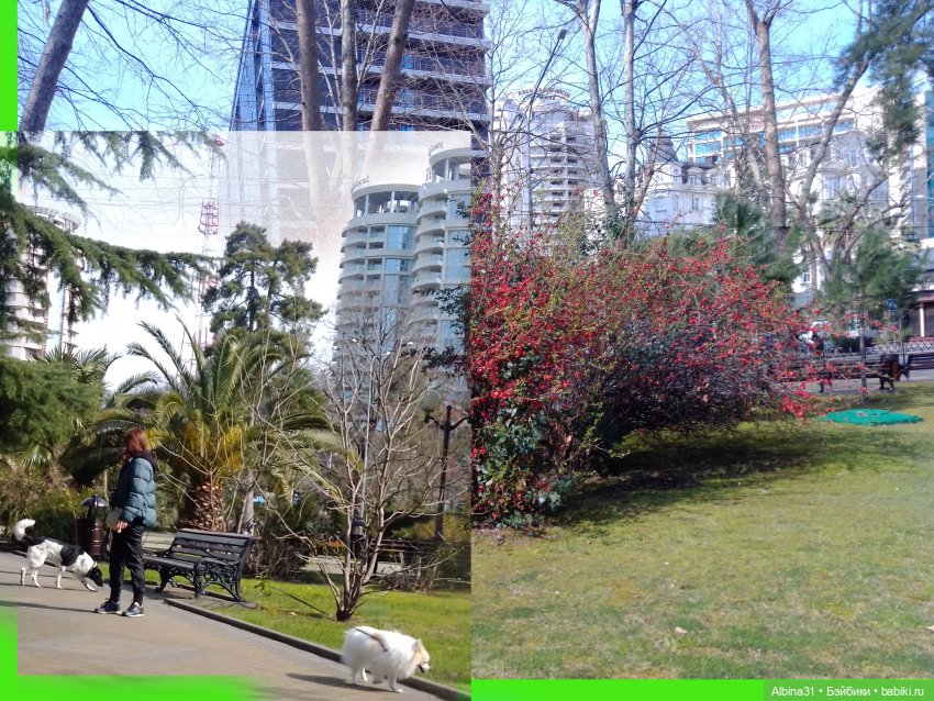 Просто Сочи. Окончание — Туризм и путешествия: фотоотчеты из поездок