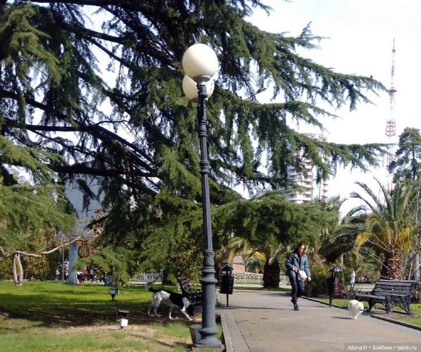 Просто Сочи. Окончание — Туризм и путешествия: фотоотчеты из поездок