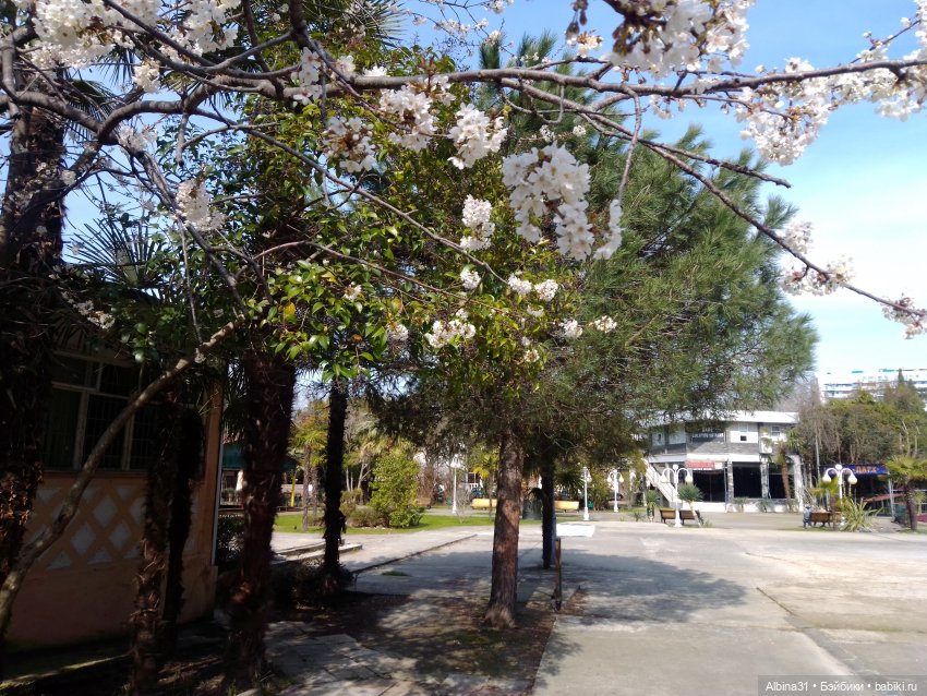 Просто Сочи. Окончание — Туризм и путешествия: фотоотчеты из поездок