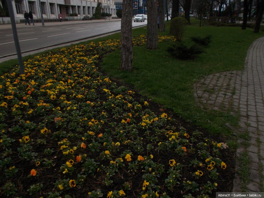Прогулка по Краснодару. Апрель 2021 год