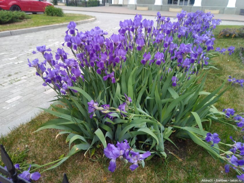 Прогулка по Екатеринбургу. Май 2021 год (фото 4)