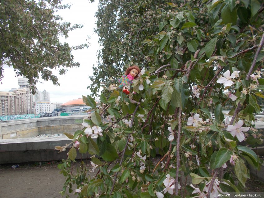 Прогулка по Екатеринбургу. Май 2021 год (4) | Бэйбики Прогулка по Екатеринбургу. Май 2021 год (4)