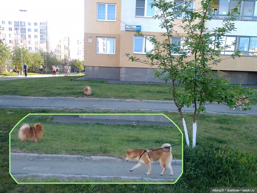 Прогулка по Екатеринбургу. Май 2021 год (6)