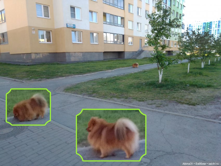 Прогулка по Екатеринбургу. Май 2021 год (6)