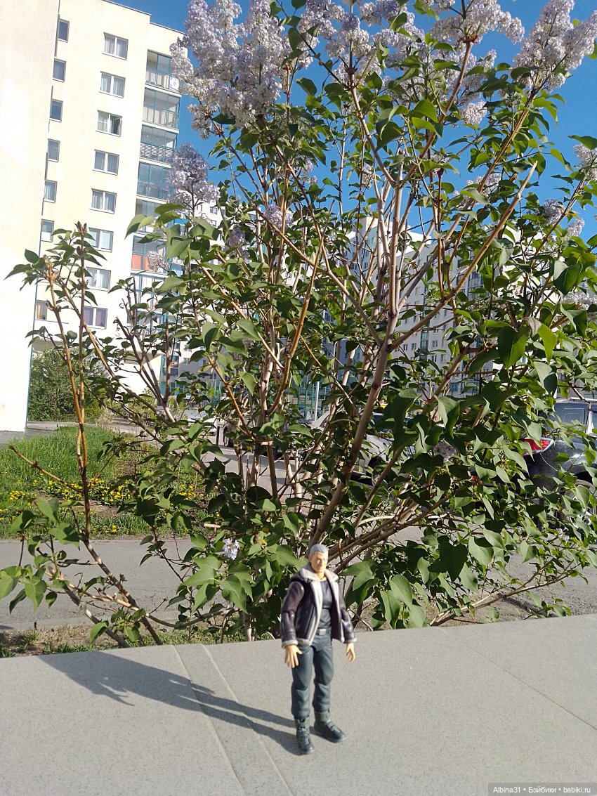 Прогулка по Екатеринбургу. Май 2021 год (6)