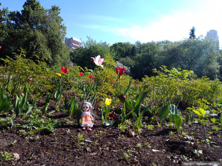 Прогулка по Екатеринбургу. Май 2021 год (6)