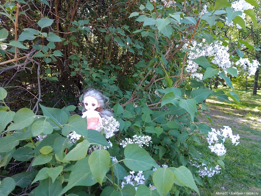 Прогулка по Екатеринбургу. Май 2021 год (6)