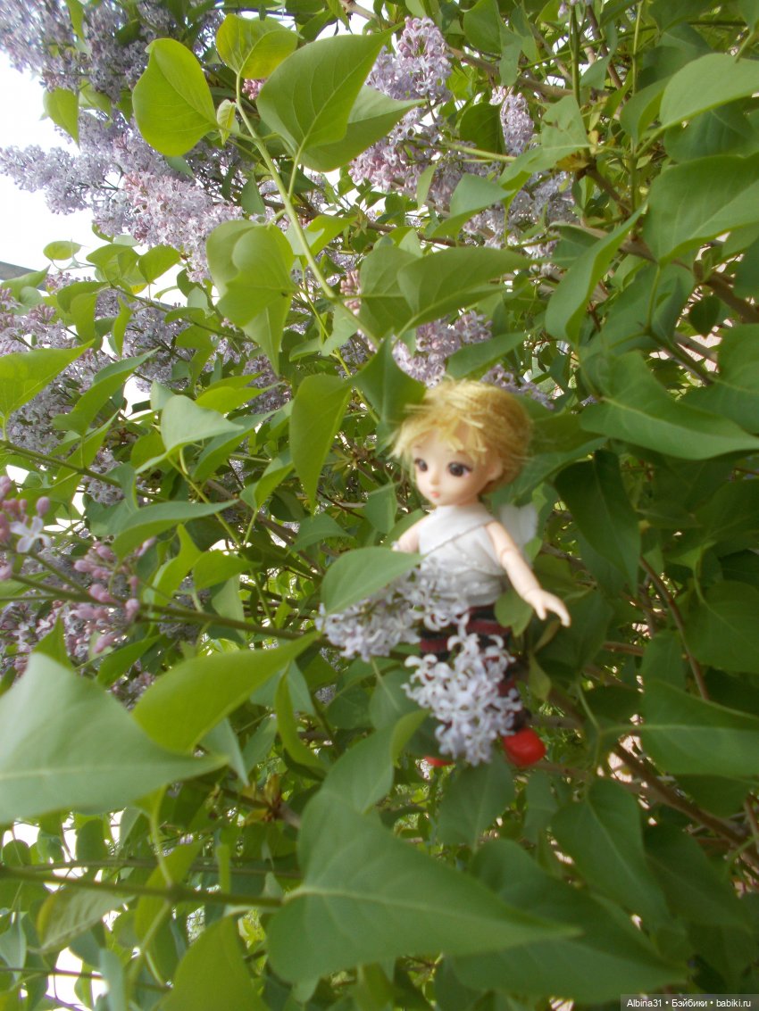 Просто так. Баболи — Куклы Baboliy (Баболи (фото 3)