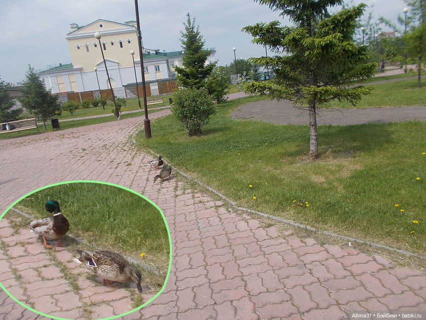 Енисей | Бэйбики Енисей — Болталка и разговоры обо всем: жизнь