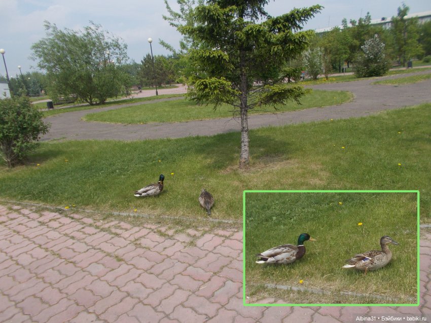 Енисей | Бэйбики Енисей — Болталка и разговоры обо всем: жизнь (фото 2)