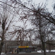 Городские зарисовки. Весна