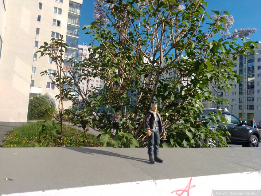 Новенький. Бато — Фигурки Figma (Фигма): герои аниме и игр