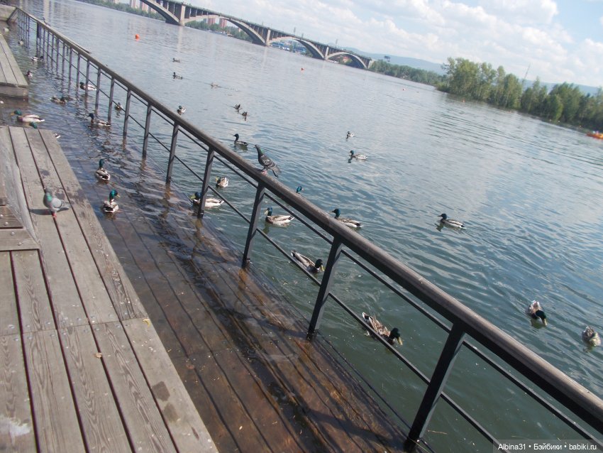 Июнь 2021. Городские зарисовки и куклы