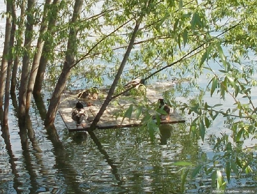 Июнь 2021. Городские зарисовки и куклы
