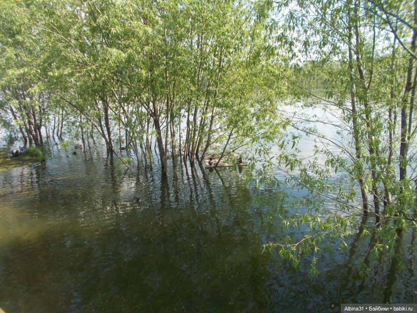 Июнь 2021. Городские зарисовки и куклы