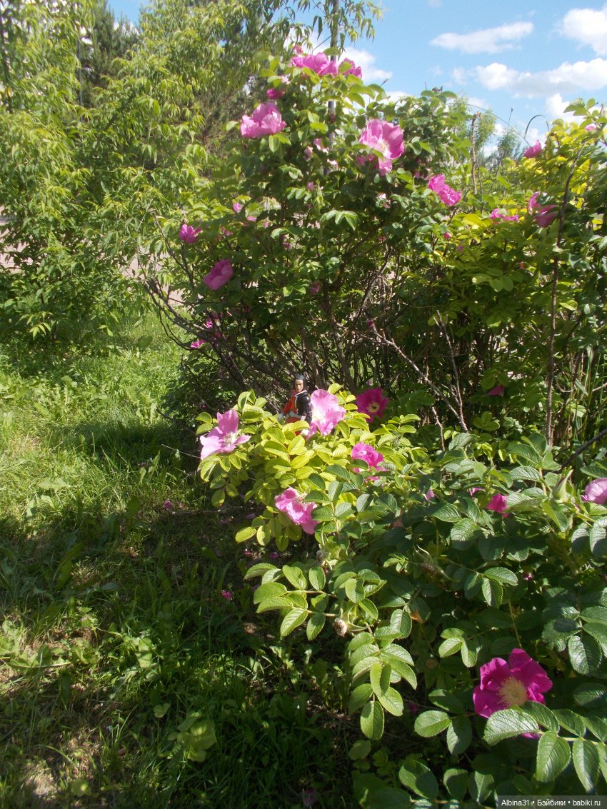 Новенькие парни — Разные шарнирные куклы (не БЖД): редкие (фото 9)