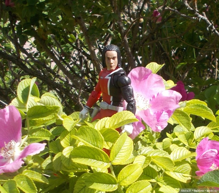 Новенькие парни — Разные шарнирные куклы (не БЖД): редкие (фото 7)