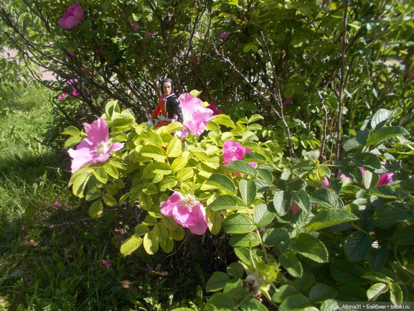 Новенькие парни — Разные шарнирные куклы (не БЖД): редкие (фото 8)