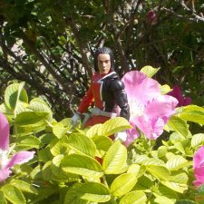 Новенькие парни