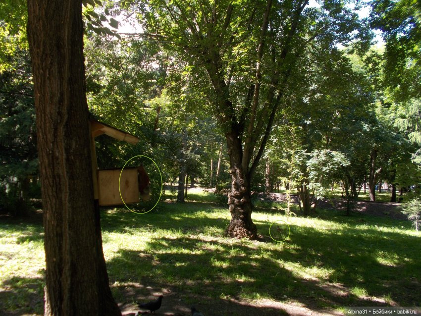 Июль 2021. Городские зарисовки