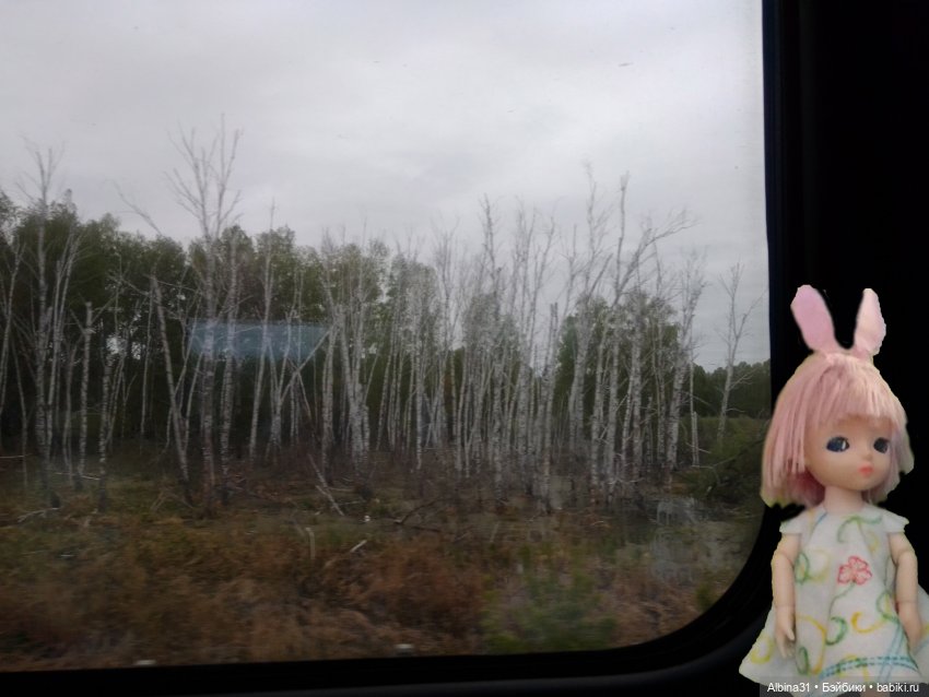 Путевые зарисовки май 2021
