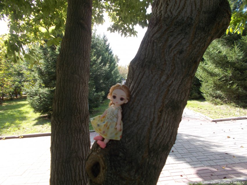 Баболи. Городские зарисовки