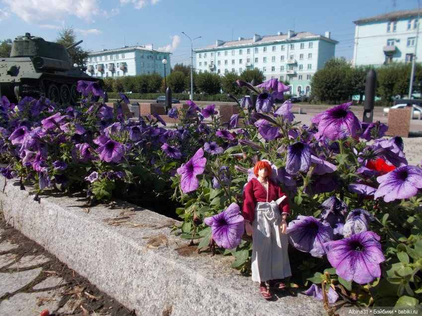 Мой любимый Бродяга — Аниме куклы (MJD/Винил): Imomo