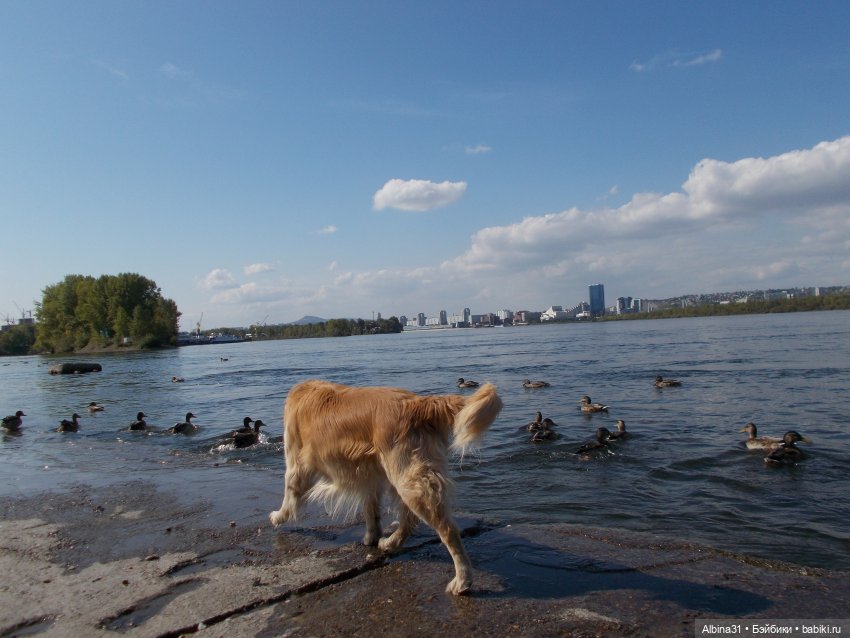Сентябрь. Городские зарисовки