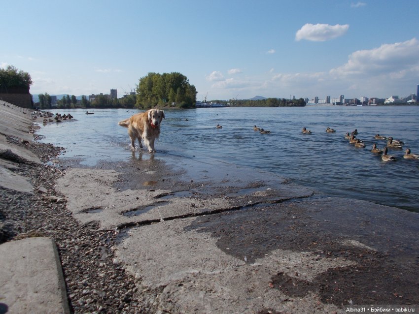 Сентябрь. Городские зарисовки