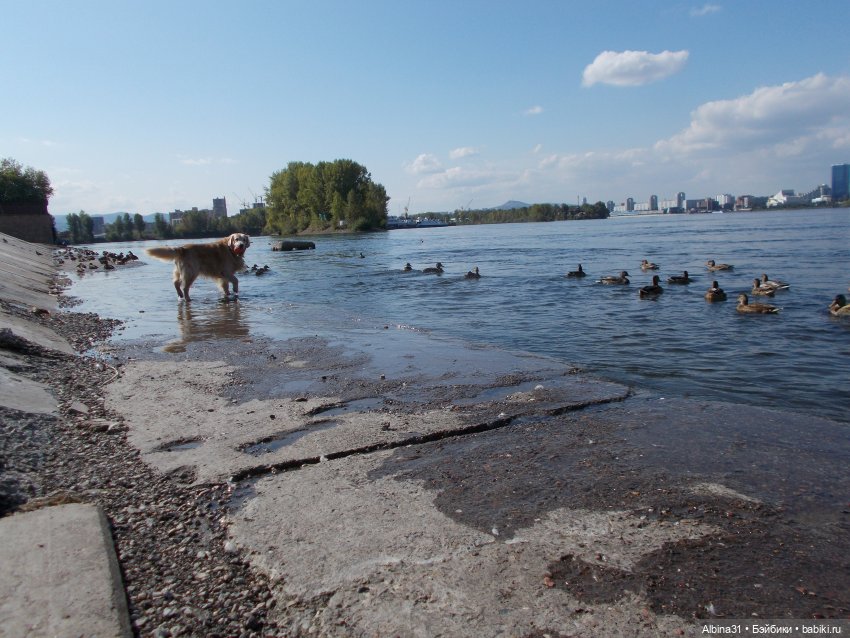 Сентябрь. Городские зарисовки