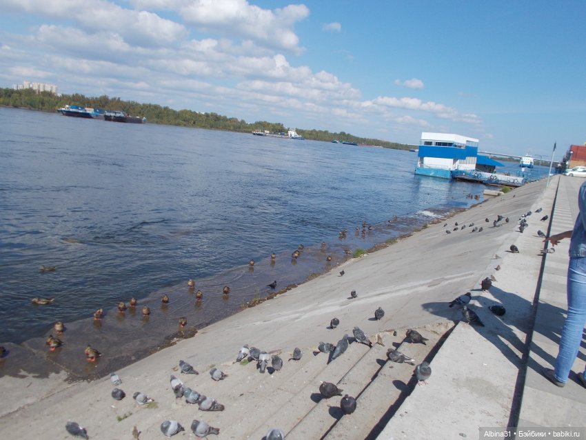 Сентябрь. Городские зарисовки (фото 9)