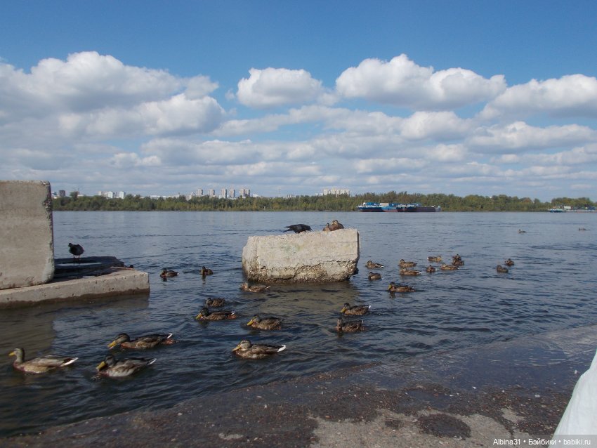 Сентябрь. Городские зарисовки